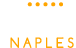 logo-taxinaples-modern.png1_[1]